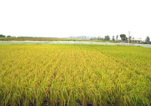 點擊查看詳細信息<br>標題：   閱讀次數(shù)：3005